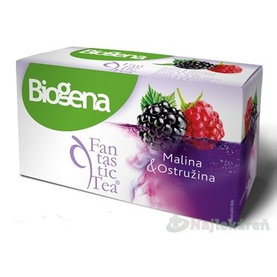 Biogena Fantastic Tea Malina & Ostružina ovocný čaj 20x2,2 g