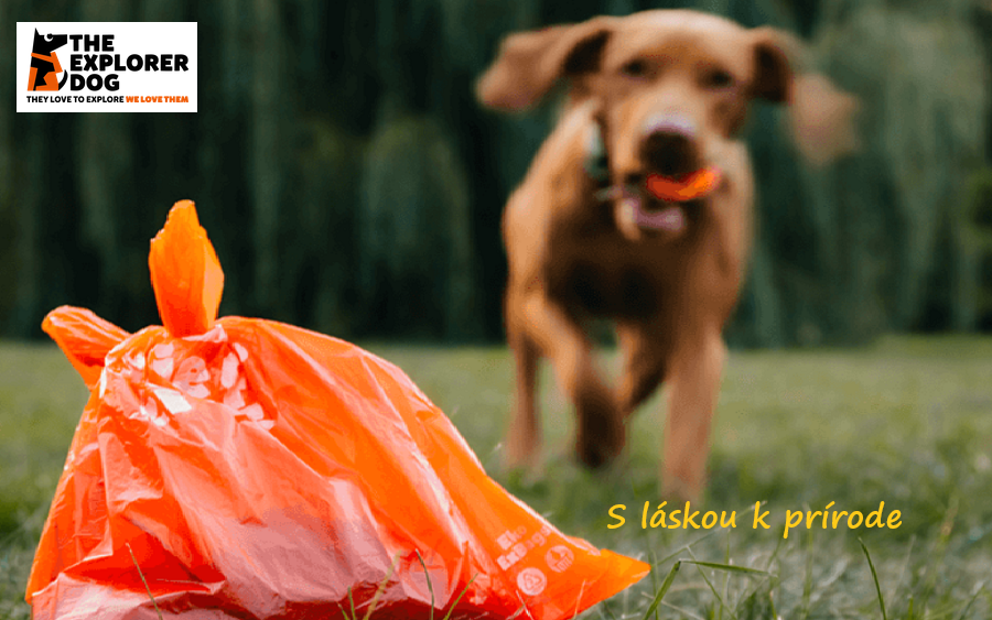 Explorer Dog banner najlekaren