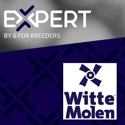 Witte Moleb Expert
