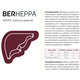 BERHEPPA na zníženie množstva tuku v pečeni 60 tabliet