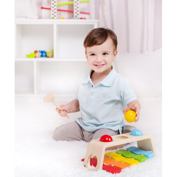 TEDDIES Zatĺkačka / Xylofón 2v1 s kladivkom s guľami 12m +