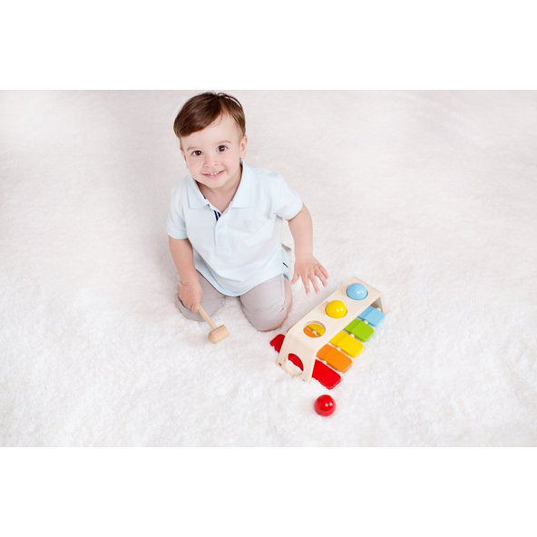 TEDDIES Zatĺkačka / Xylofón 2v1 s kladivkom s guľami 12m +
