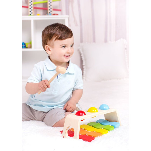 TEDDIES Zatĺkačka / Xylofón 2v1 s kladivkom s guľami 12m +