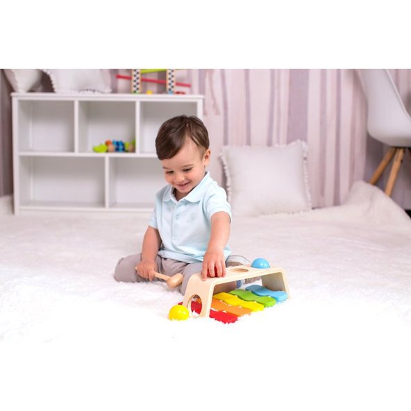 TEDDIES Zatĺkačka / Xylofón 2v1 s kladivkom s guľami 12m +