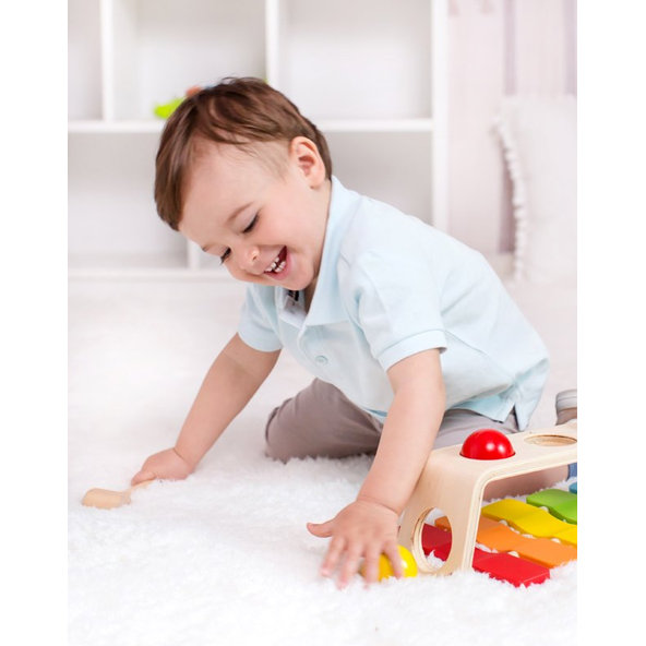 TEDDIES Zatĺkačka / Xylofón 2v1 s kladivkom s guľami 12m +