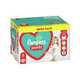 PAMPERS Active PANTS BOX veľkosť 6, plienkové nohavičky (15+ kg) 1x84 ks