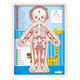 WOODY Puzzle "Ľudské telo" - Chlapec SK