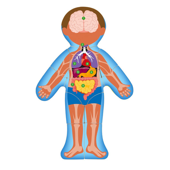 WOODY Puzzle "Ľudské telo" - Chlapec SK