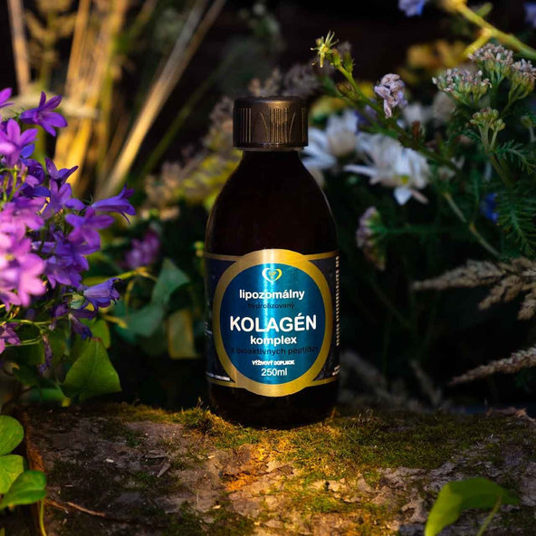 Zdravý svet Lipozomálny KOLAGÉN komplex hydrolyzovaný 1x250 ml