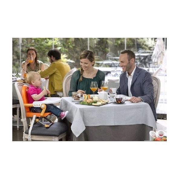 CHICCO Podsedák prenosný Pocket Snack na stoličku - Sage