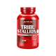 Tribu Stallion - ActivLab, bez príchute, 60tbl