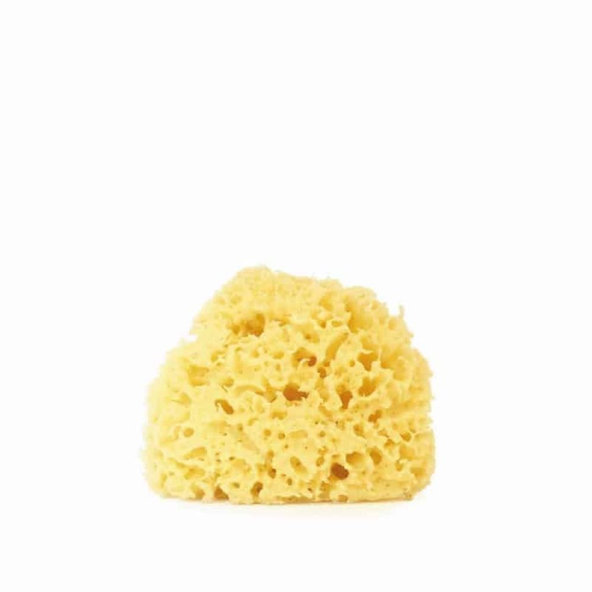 Morská tráva - malá hubka - EatGreen