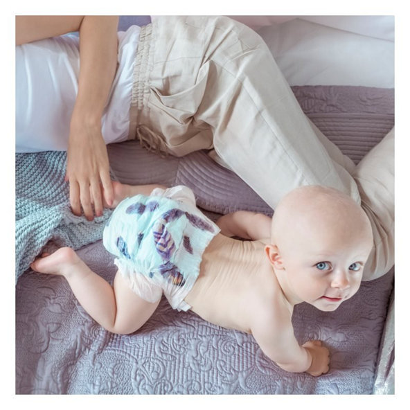 KOLORKY DAY - perie - XL (12-16 kg) - 17 ks - jednorazové eko plienky