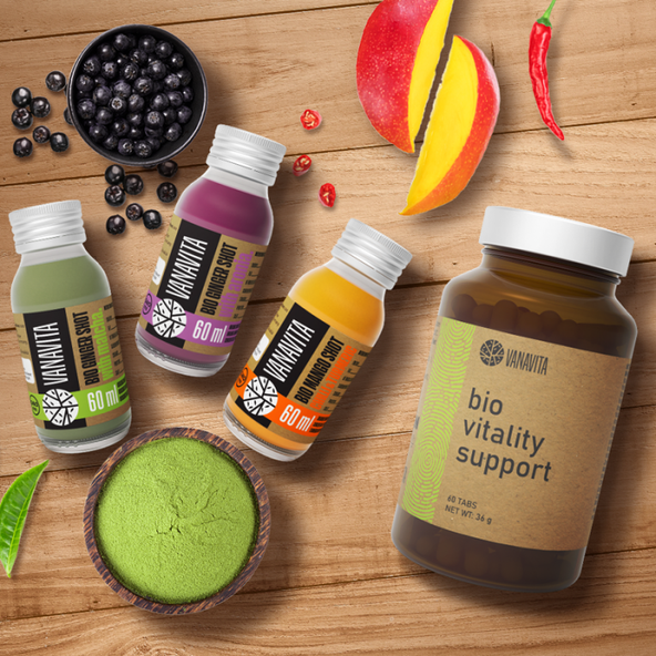 BIO Multivitamin Vitality Support - VanaVita, 60tbl