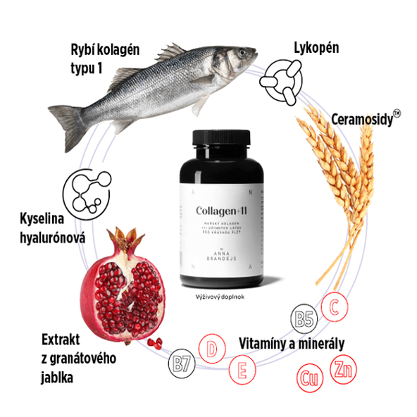 Collagen +11 ANNA BRANDEJS 150 cps