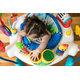 BABY EINSTEIN  Skákadlo/aktívne centrum 2v1 Neighborhood Symphony 6m+ do 11kg