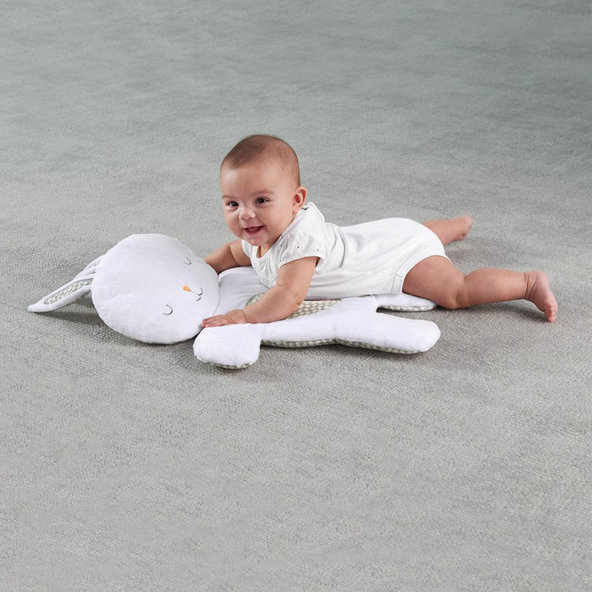 INGENUITY Lehátko vibrujúce s melódiou a svetlom Twinkle Tails™ 0m+, do 9 kg