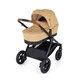 PETITE&MARS Kočík kombinovaný 2v1 Trails Heritage Bee