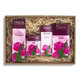 Darčeková sada kozmetiky Regina Floris s luxusným parfumom