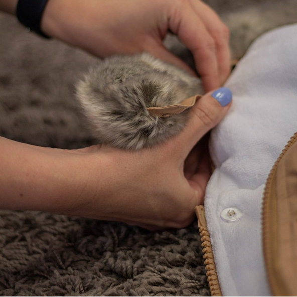 PETITE&MARS Fusak 4v1 Comfy Fancy Dream