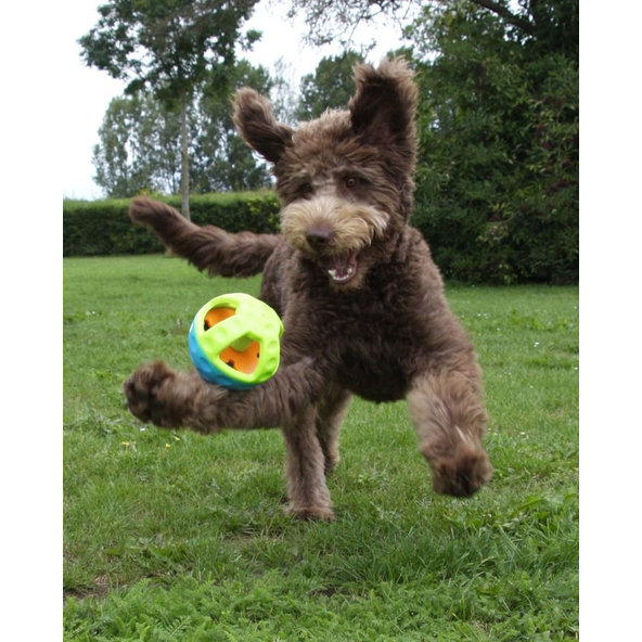 Hračka pre psa "Active"  Ø13cm