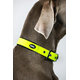 Obojok pre psy "Cover" (L) žltá
