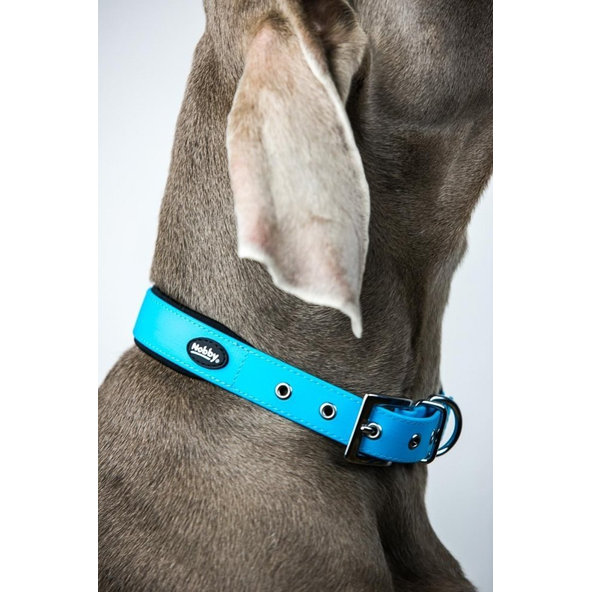 Obojok pre psy "Cover" (S) svetlomodrá