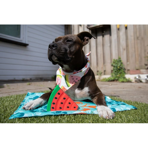 Chladiaca podložka pre psy a mačky "Flower" L: 90x70cm