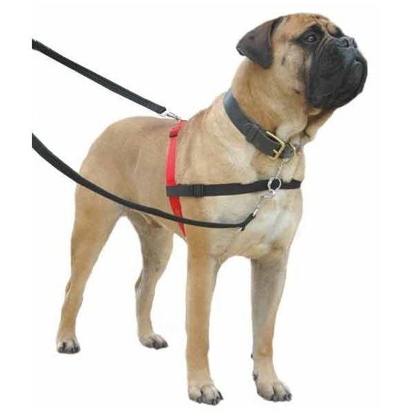 Protiťahací postroj pre psy Halti L