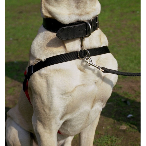 Protiťahací postroj pre psy Halti L