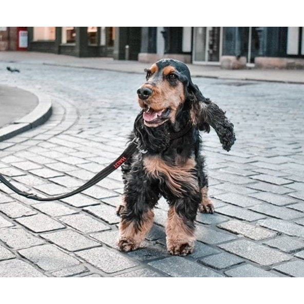 Halti tréningové vodítko L