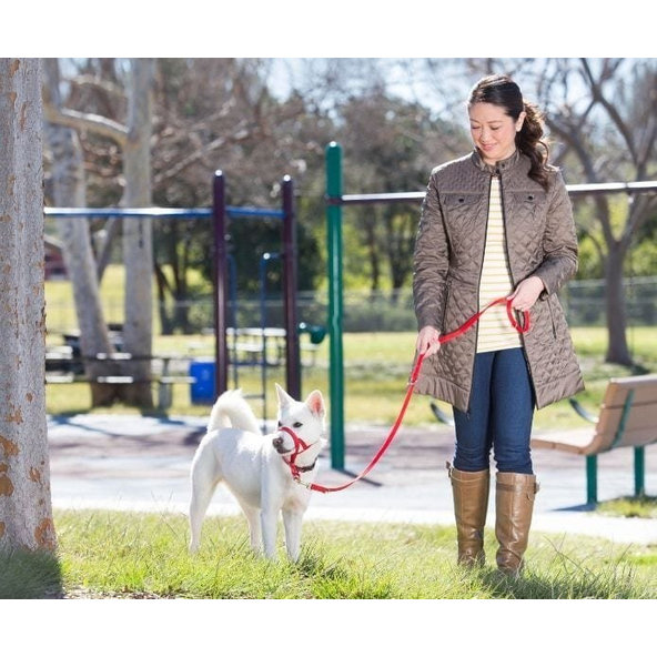Halti tréningové vodítko pre psy S 2m