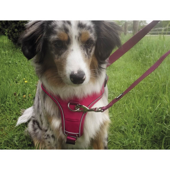 "Mailo" XL červený