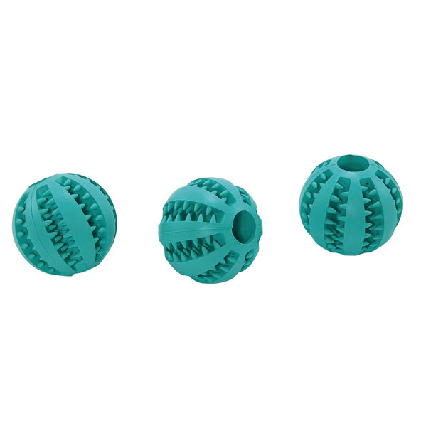 Dentálna hračka pre psy s mätovou príchuťou "Dental Fun" Ø5cm/35ks display