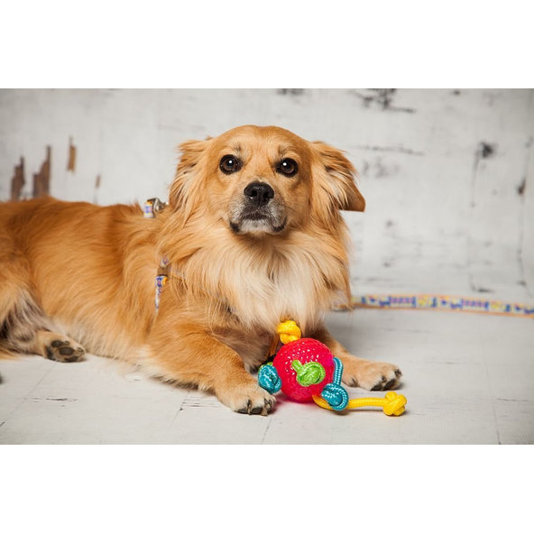 TPR lopta s lanom Ø 8 cm