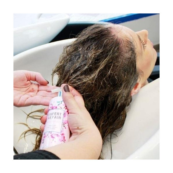 Obnovujúci šampón na poškodené vlasy Expert repair Dessata 300ml