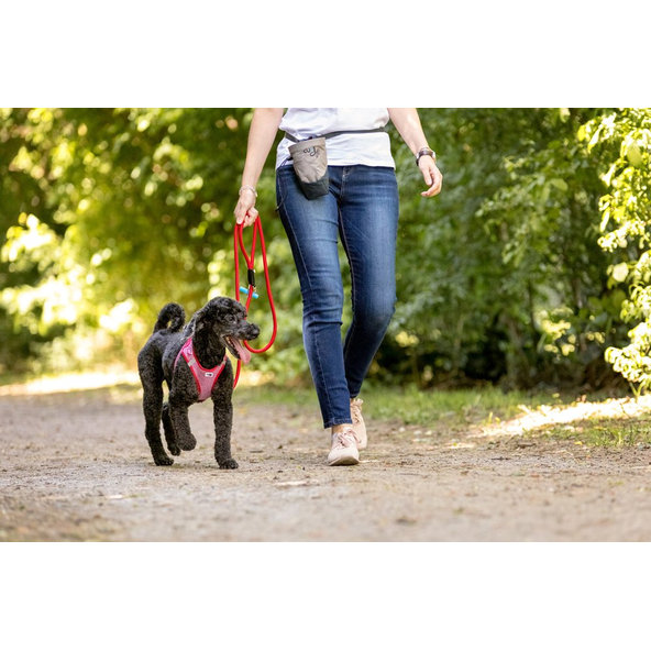 CURLI Vrecko na pamlsky pre psov Gray