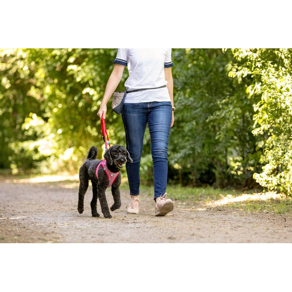 CURLI Vrecko na pamlsky pre psov Gray