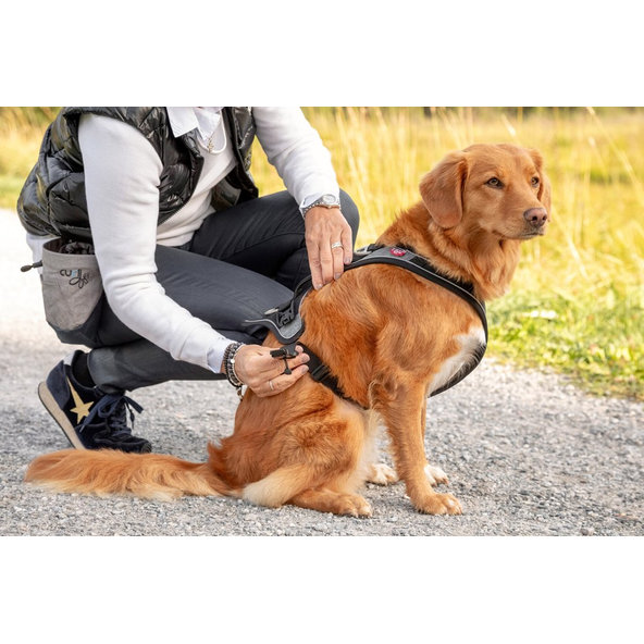 CURLI Vrecko na pamlsky pre psov Gray