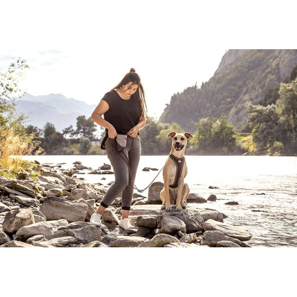 CURLI Vrecko na pamlsky pre psov Gray