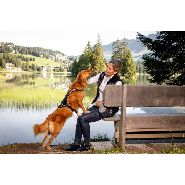 CURLI Vrecko na pamlsky pre psov Scuba Gray