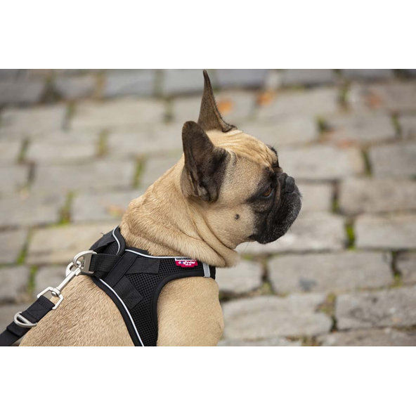 CURLI Nastaviteľné vodítko pre psov Nylon Black M 200x1,5cm