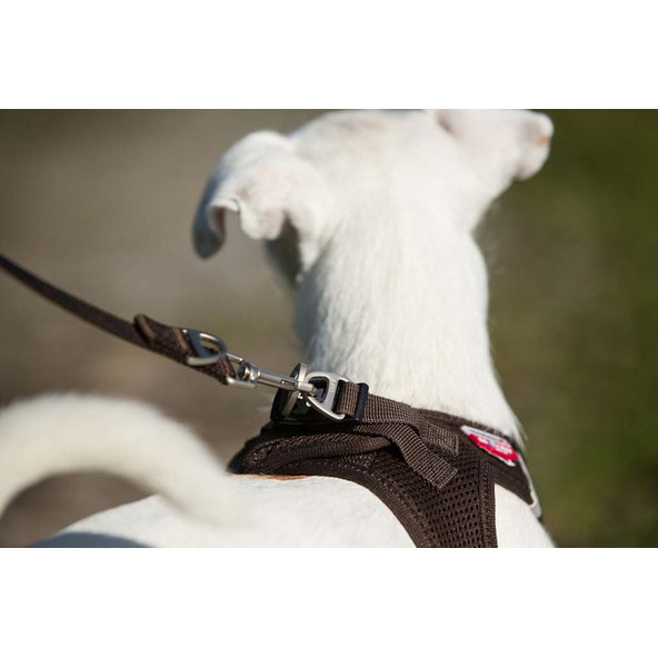 CURLI Nastaviteľné vodítko pre psov Nylon Brown L 200x2 cm