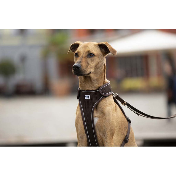 CURLI Nastaviteľné vodítko pre psov Nylon Brown L 200x2 cm