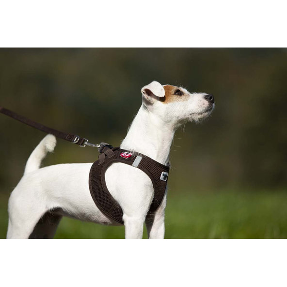 CURLI Nastaviteľné vodítko pre psov Nylon Brown L 200x2 cm