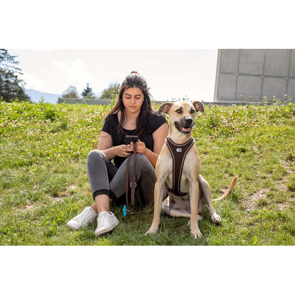 CURLI Nastaviteľné vodítko pre psov Nylon Brown M 200x1,5 cm