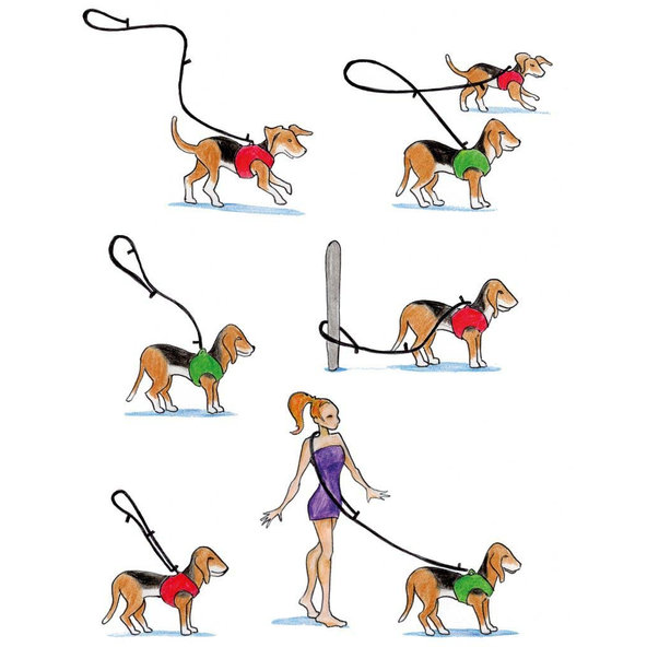 CURLI Nastaviteľné vodítko pre psov Nylon Red L 200x2 cm