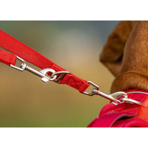 CURLI Nastaviteľné vodítko pre psov Nylon Red L 200x2 cm