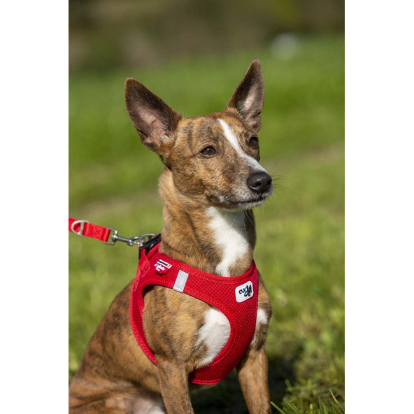 CURLI Nastaviteľné vodítko pre psov Nylon Red L 200x2 cm