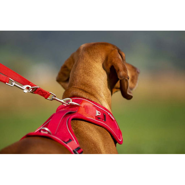 CURLI Nastaviteľné vodítko pre psov Nylon Red L 200x2 cm